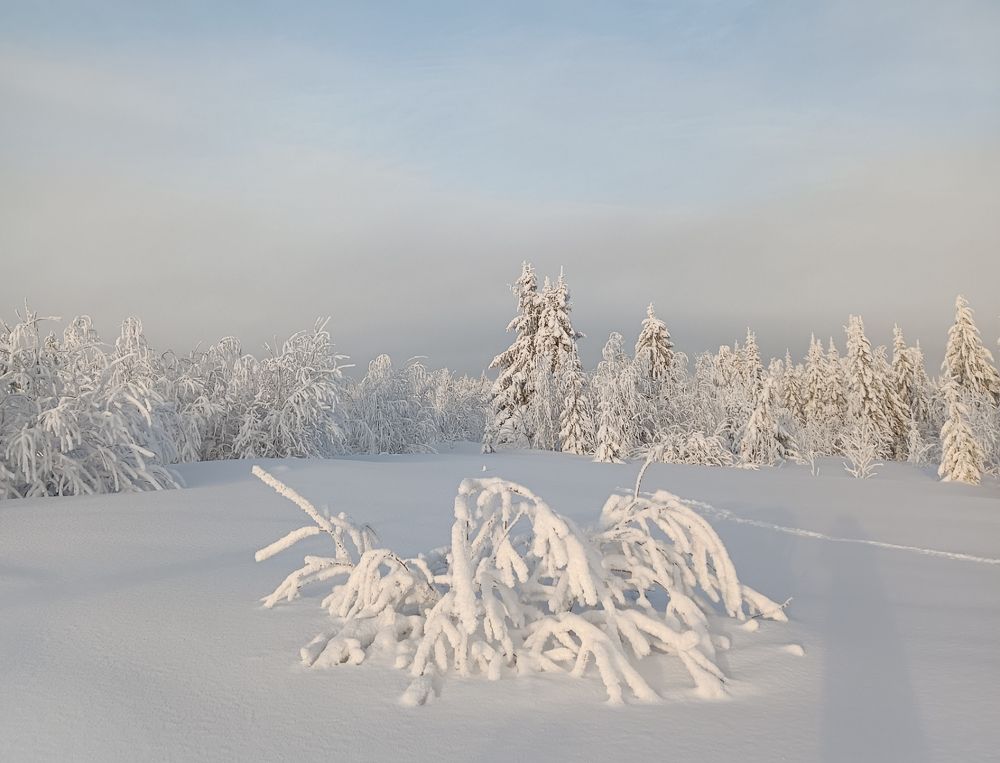 Photograph by Сергей Шевырин