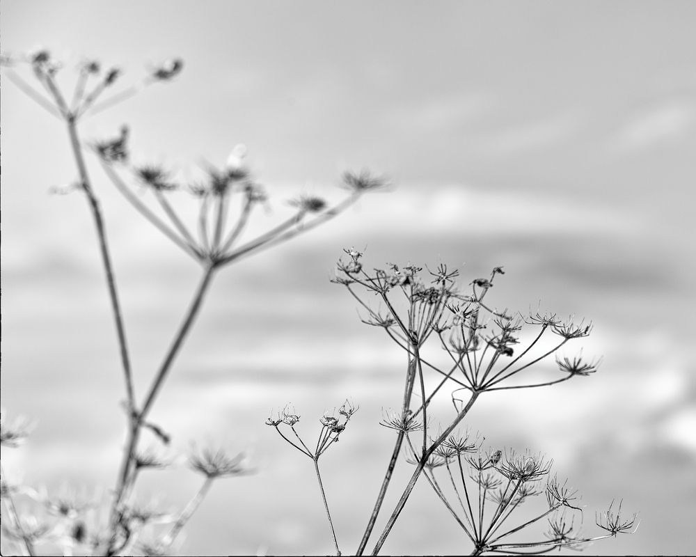 Photograph by Aleksei Degtjarjov