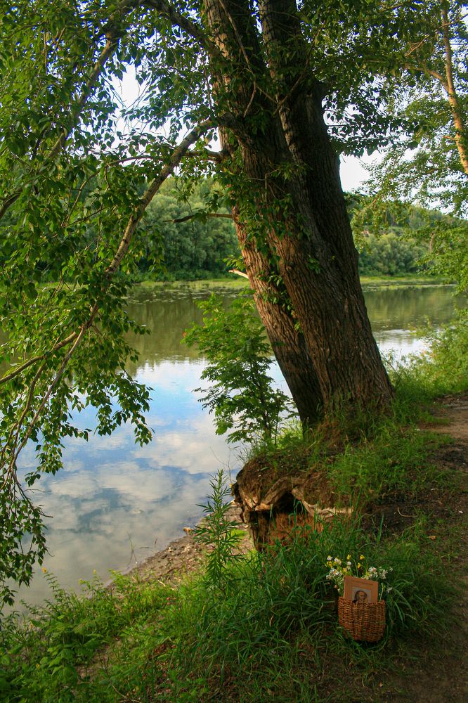 Photograph by Дарья Вихорева