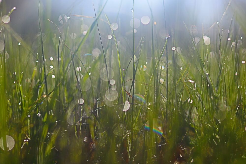 Photograph by Родосская Нонна