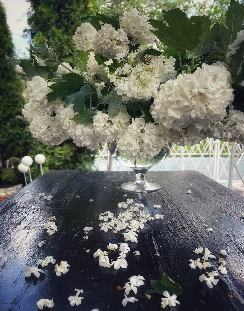 Фотография автора Рамзия Хисамутдинова