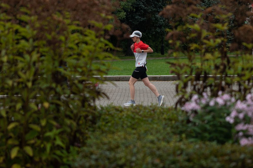 Photograph by Дмитрий Николаев