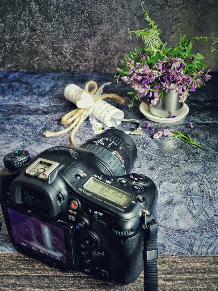 Фотография автора НАТАЛЬЯ СЕВЕР