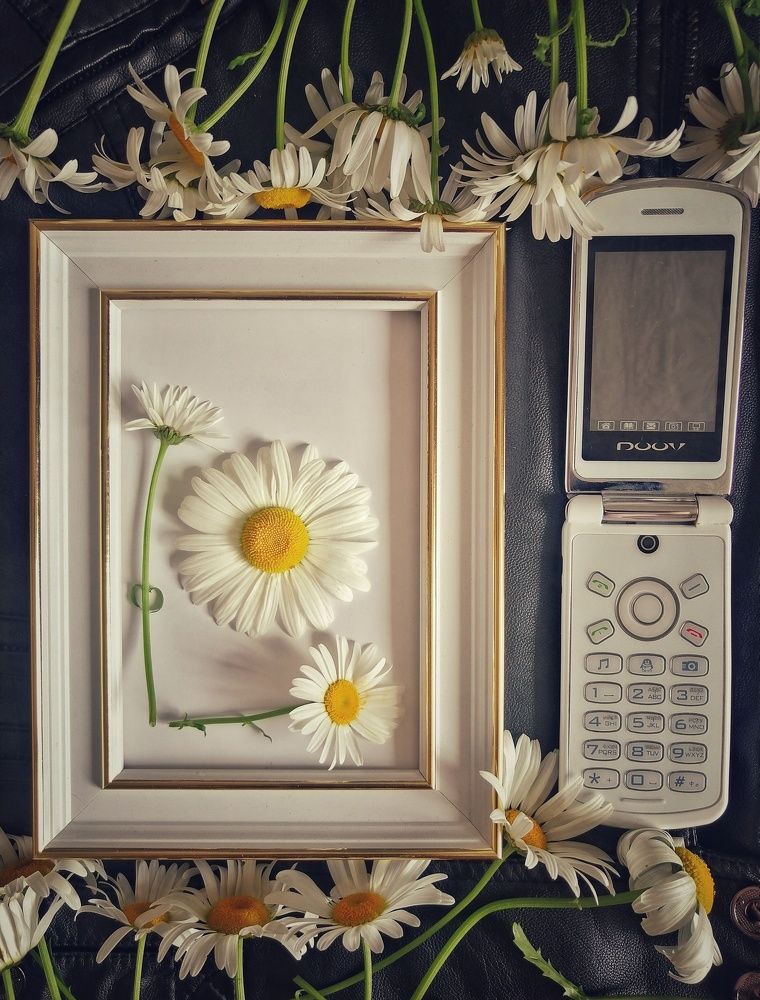 Фотография автора НАТАЛЬЯ СЕВЕР