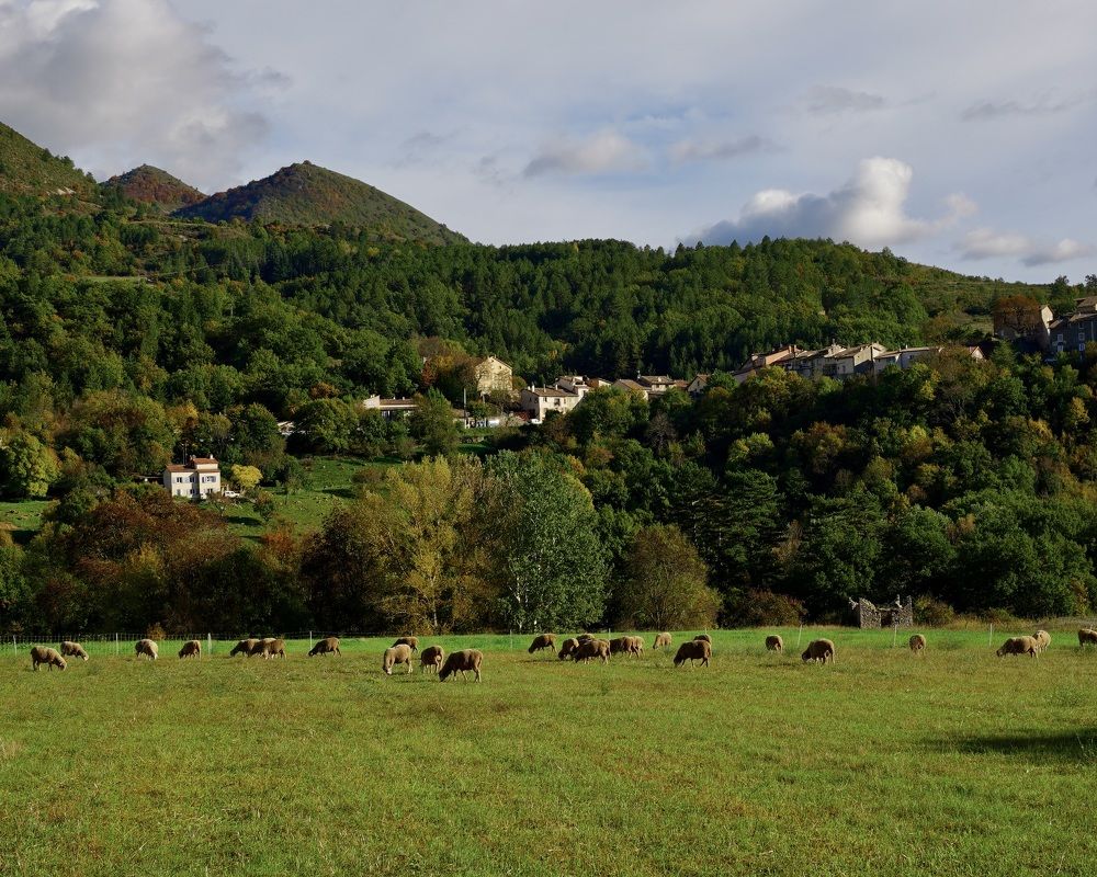 Photograph by Marina Odintsova