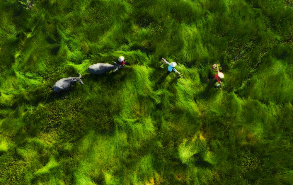 Passing the grass fields