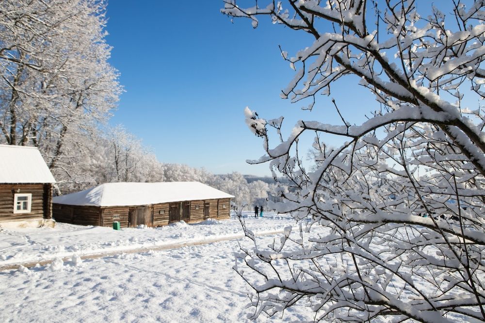 Photograph by Алексей Пирязев