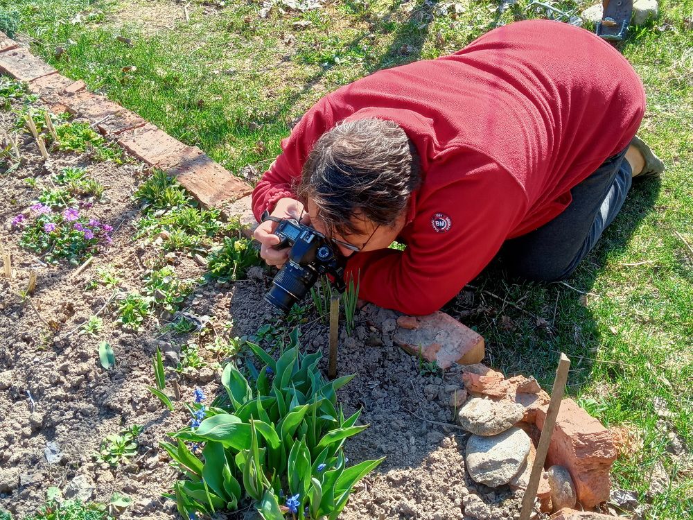 Photograph by Николаев Владимир