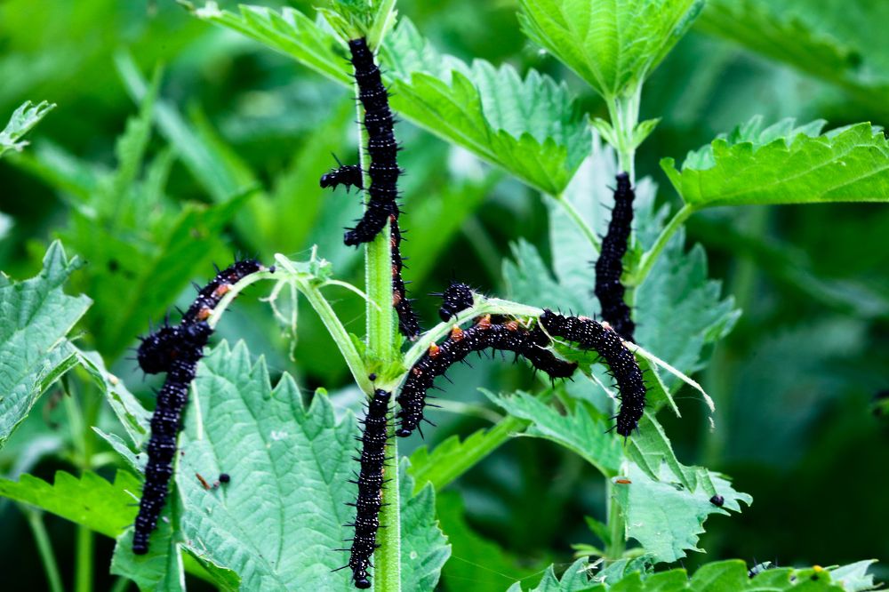 Photograph by Владимир Говоров
