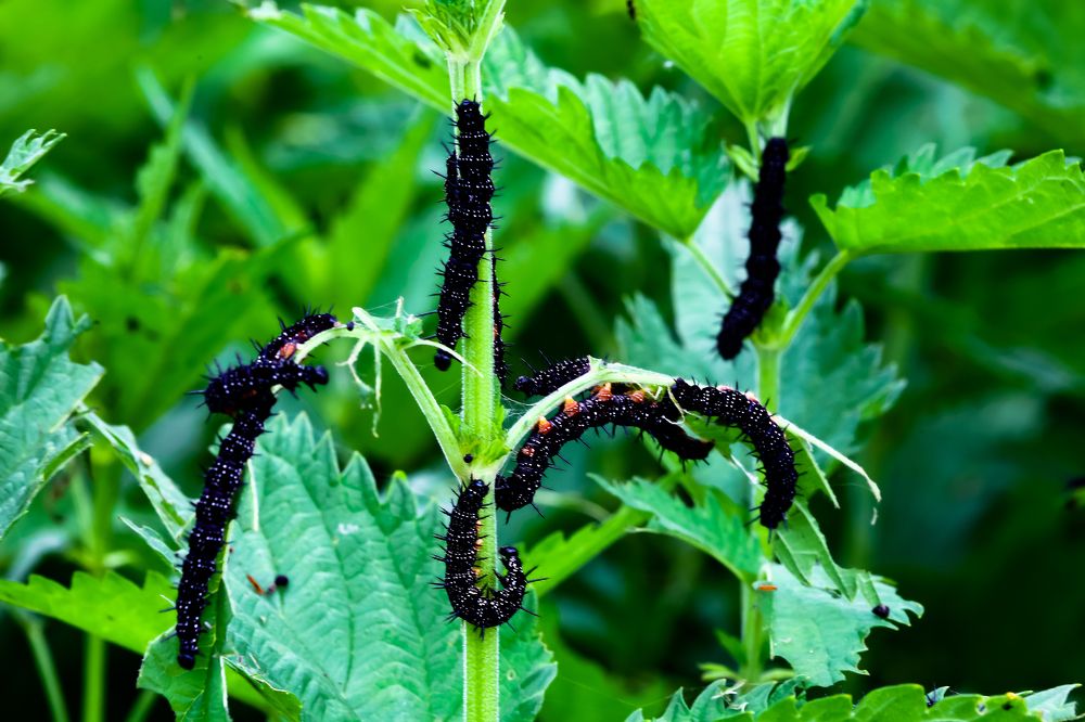 Photograph by Владимир Говоров