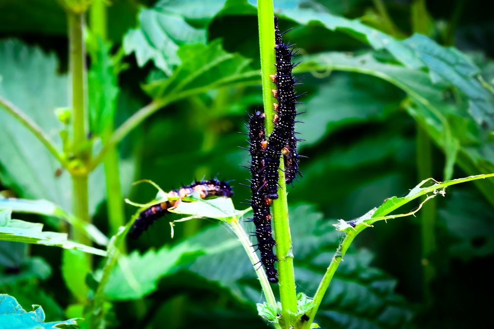 Photograph by Владимир Говоров
