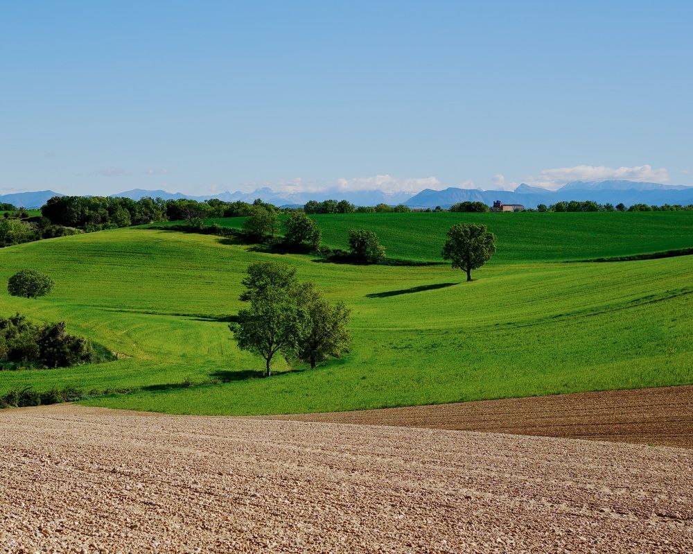 Photograph by Marina Odintsova