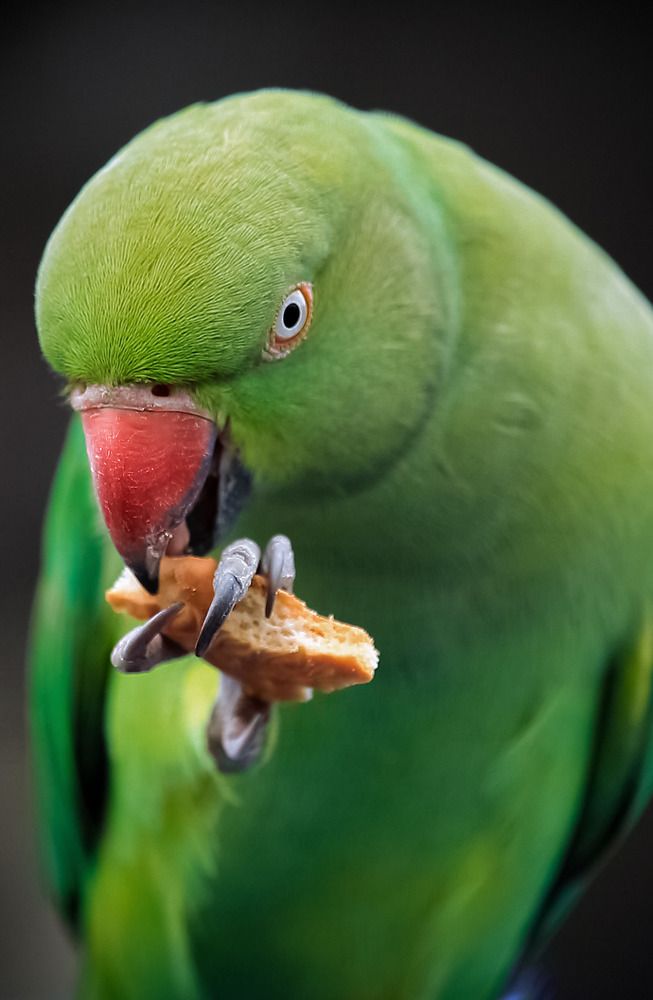 Photograph by Kaustav Ghosh