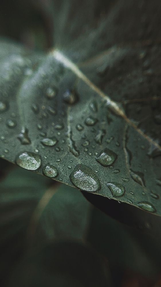 Фотография автора Анна Морозова