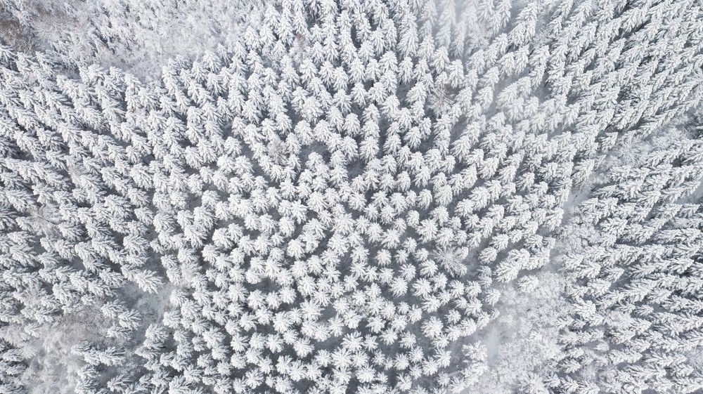 Фотография автора NGUYEN XUAN BAC