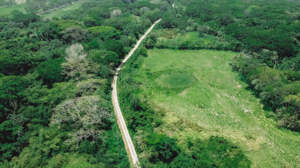 Фотография автора Delvis Romero