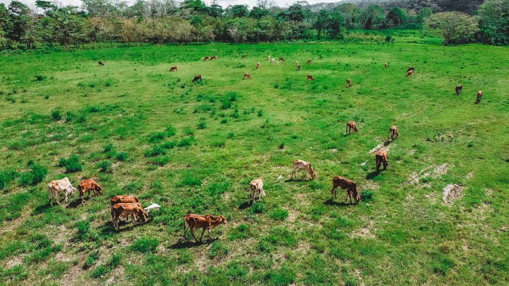 Фотография автора Delvis Romero