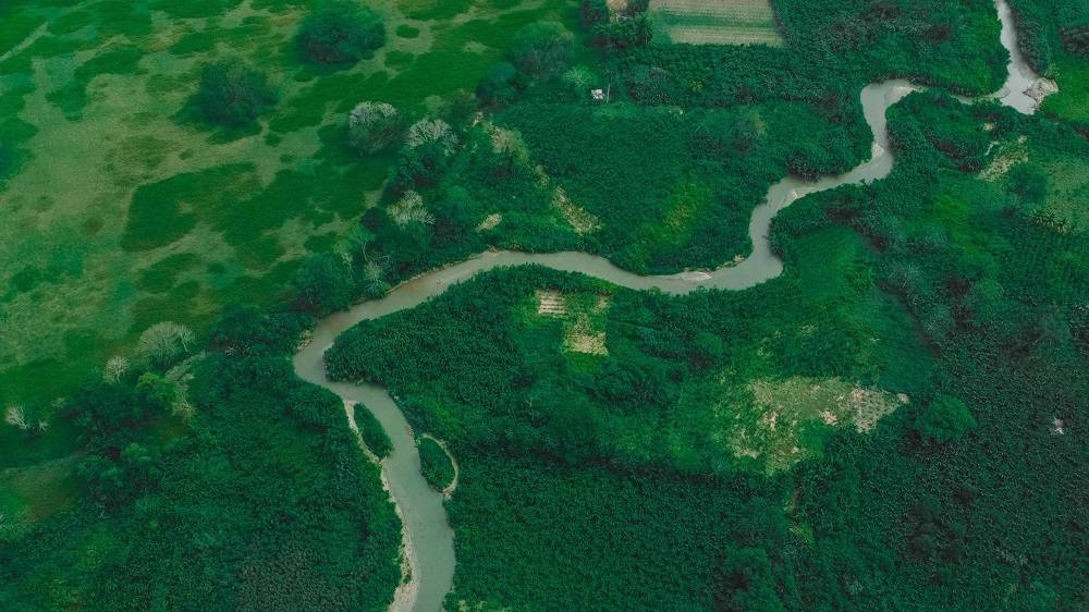 Фотография автора Delvis Romero