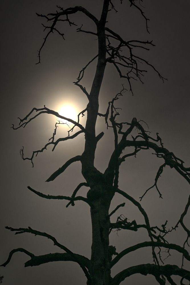 Солнце Судного Дня