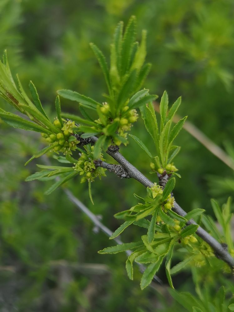 Photograph by Кривенко Владимир