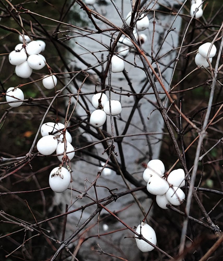 Photograph by Елена Юдина