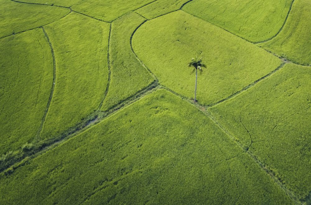 Photograph by Vu Khoa Nguyen Khanh