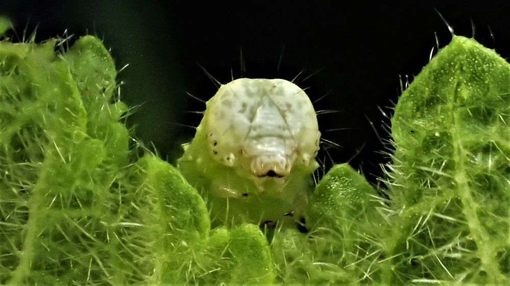 Photograph by Станислав Карташов