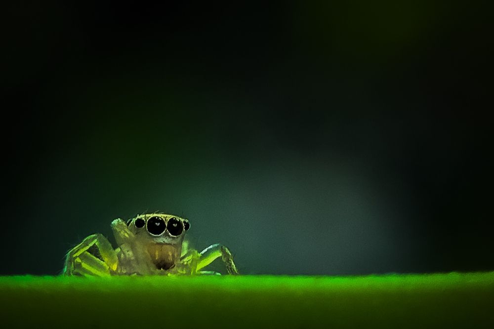 Photograph by Praveen