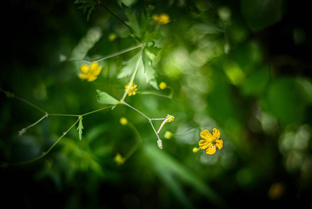 Фотография автора Maxim Bondar