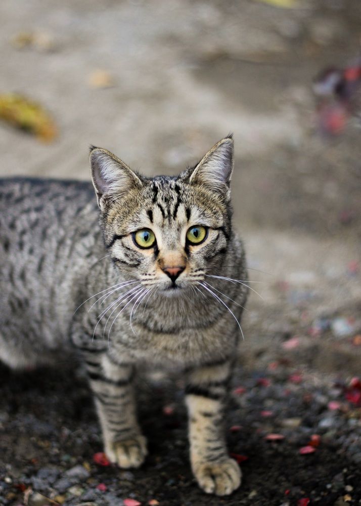 Photograph by Elham Bahrami