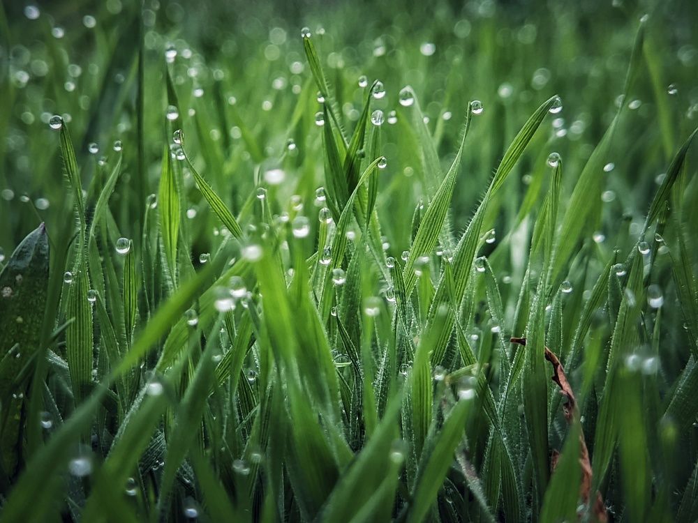 Photograph by Natalia Bolotenkova