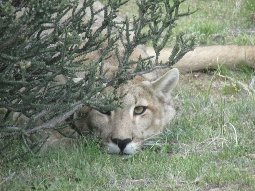 Photo #11398223