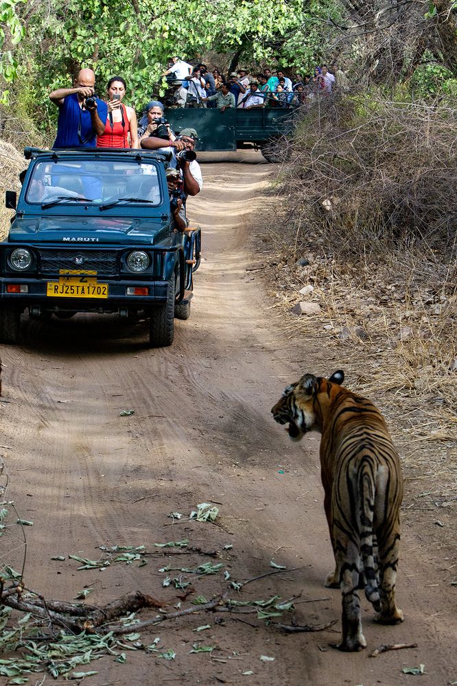 Фотография автора Abie Davies Thekkanath