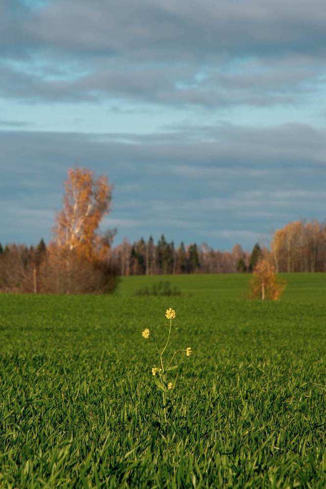 Photograph by Алексей Худяков