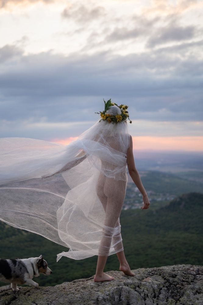 Фотография автора Daria Axofir