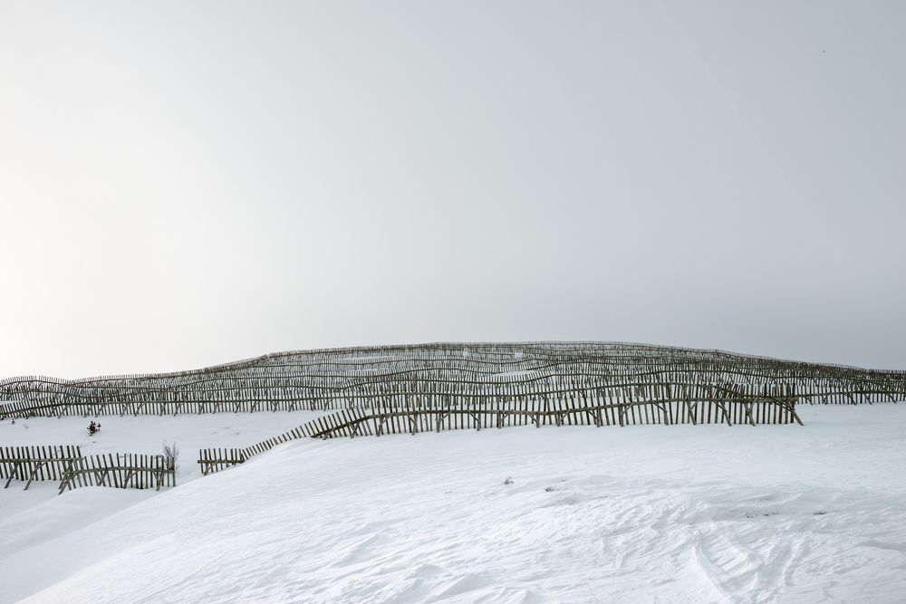 Заборы в белом