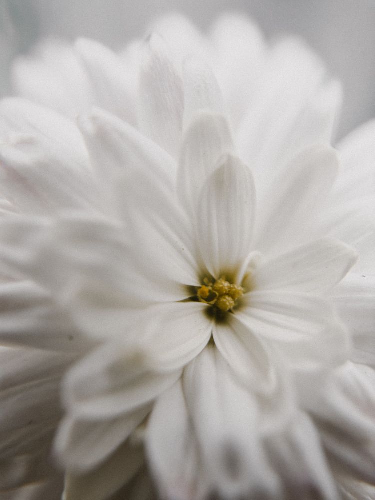 Photograph by Анна Голубцова