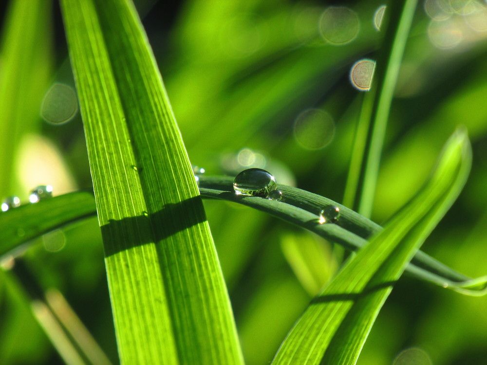 Photograph by Кондрашова Светлана