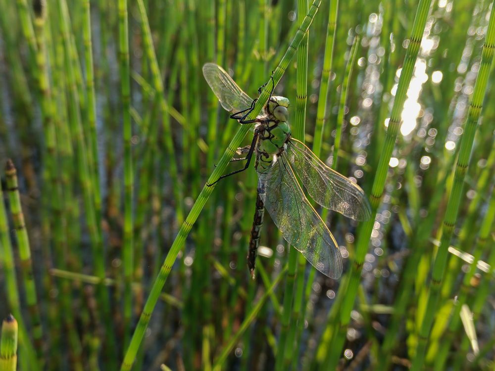 Photograph by Кондрашова Светлана
