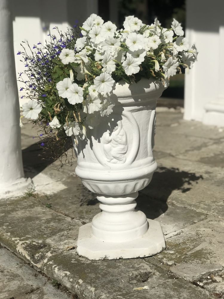 Photograph by Татьяна Шибанова