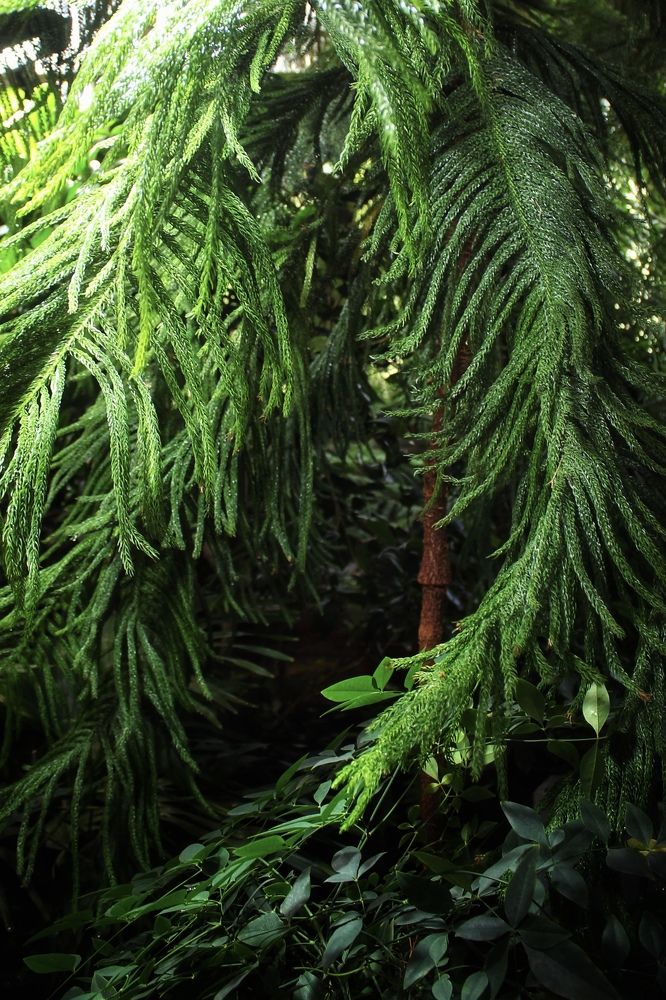 Photograph by Астафьева Анастасия