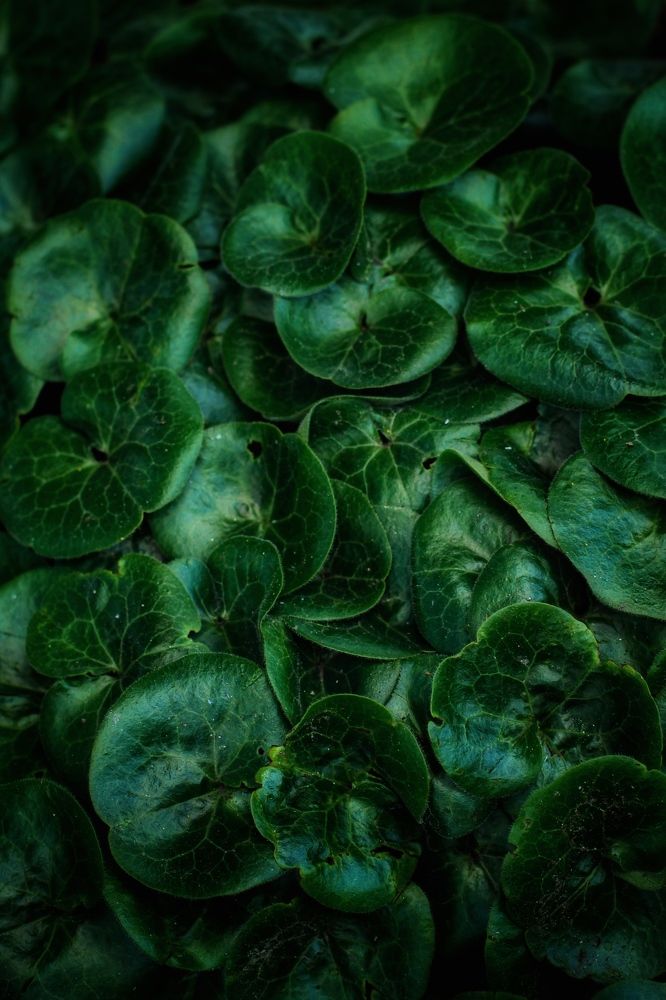 Photograph by Астафьева Анастасия