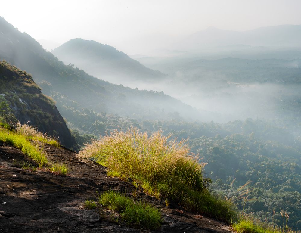 Фотография автора Devanand K S