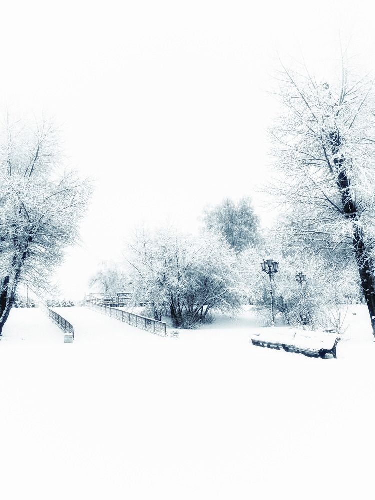 Photograph by Лариса Кузнецова