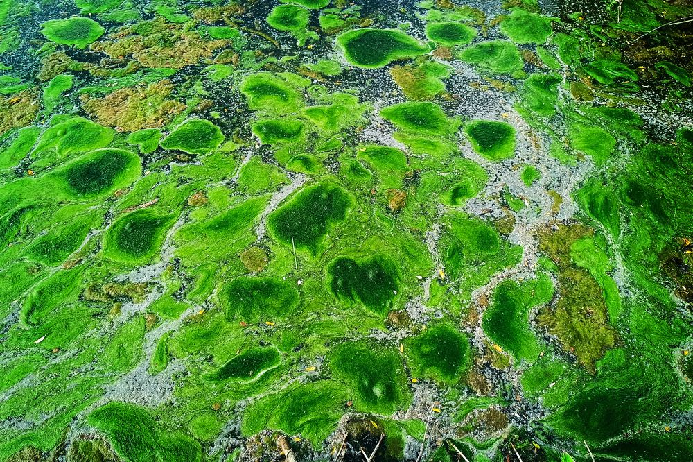 Photograph by Диана Токаревич