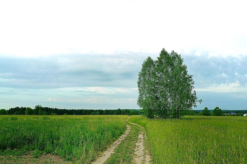 Photograph by Диана Токаревич