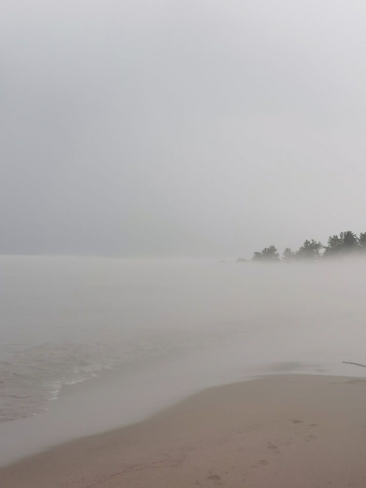 Photograph by Алина