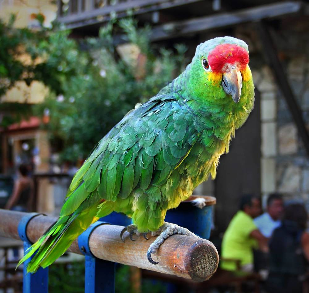 Фотография автора Кухта Мария