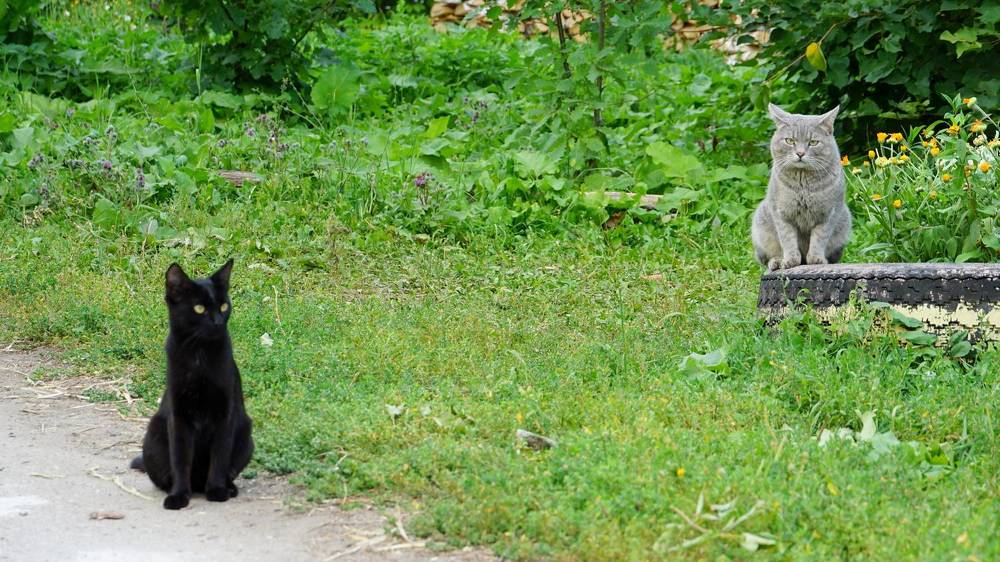 Photograph by Блюмина Елена