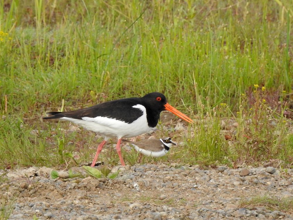 Photograph by Елена Старкова